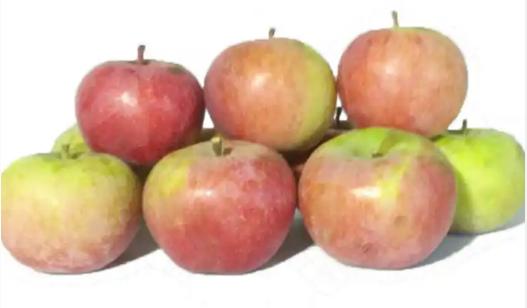 以前的老苹果品种,苹果的老品种有哪些