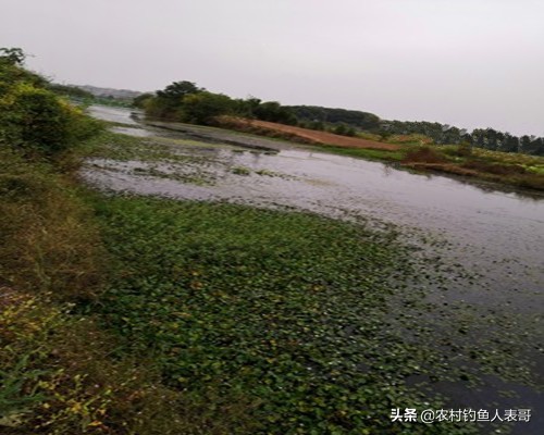 开春升温适合路亚么,春季刚升温路亚怎么钓翘嘴