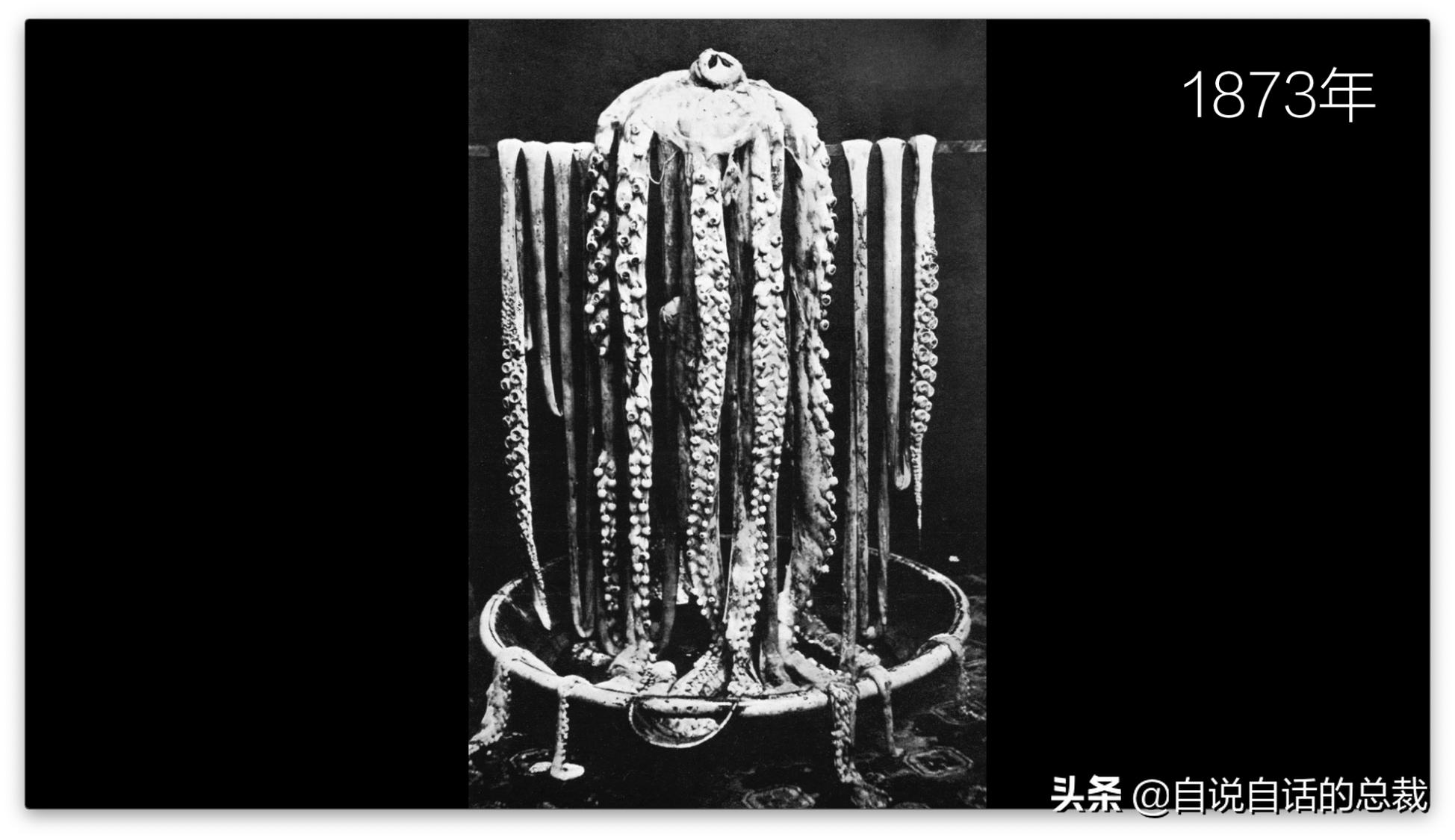 美国探测深海潜艇失踪事件,美国海神号发现了什么