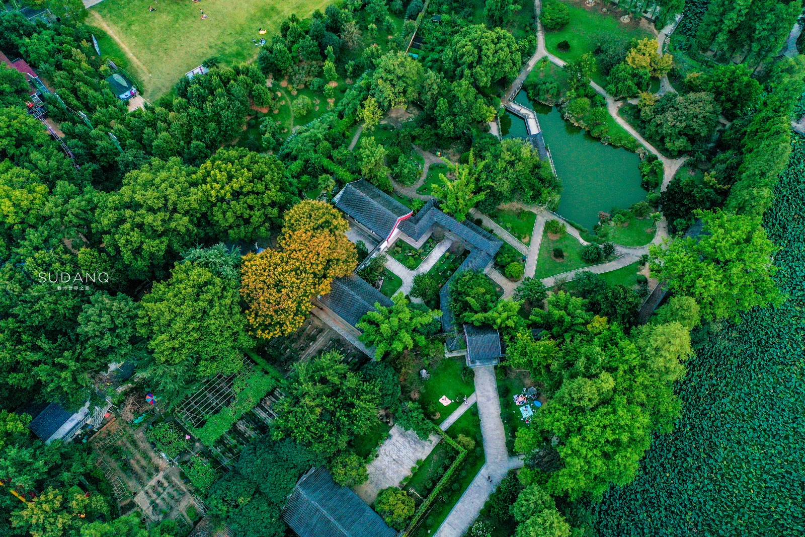 武汉东湖发生什么事,武汉东湖最近发生的大事