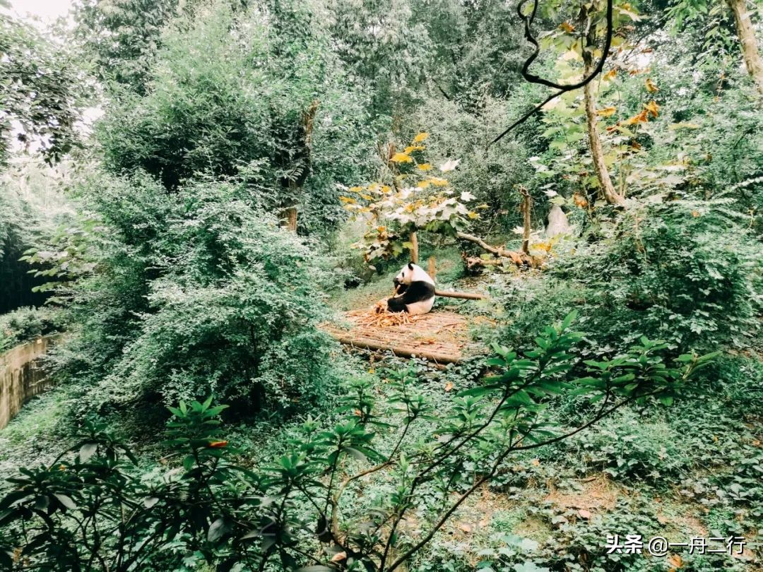 成都二三五科技有限公司,成都二三里