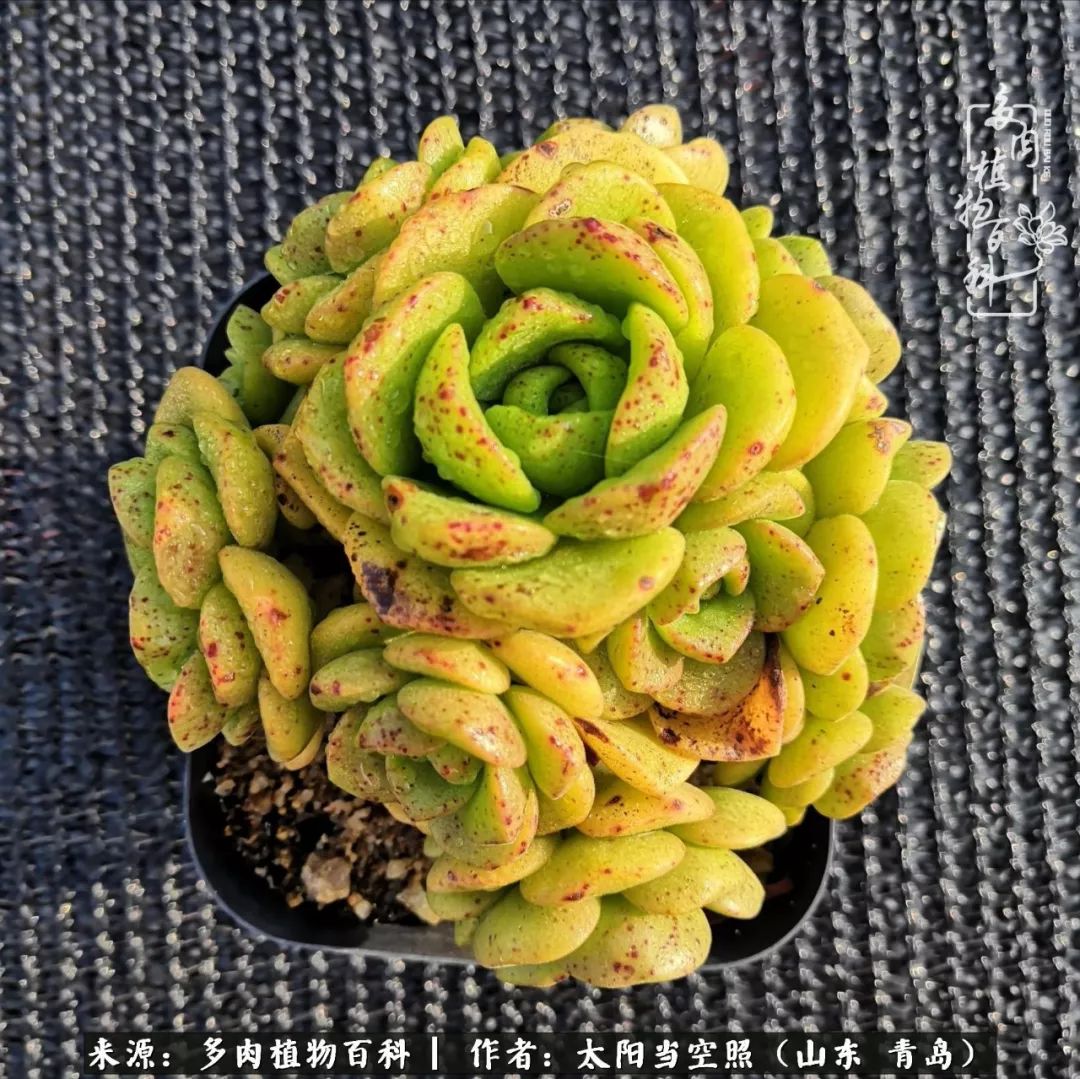 离家在外才发现最难忘的是故乡情,离家在外看见家乡的东西