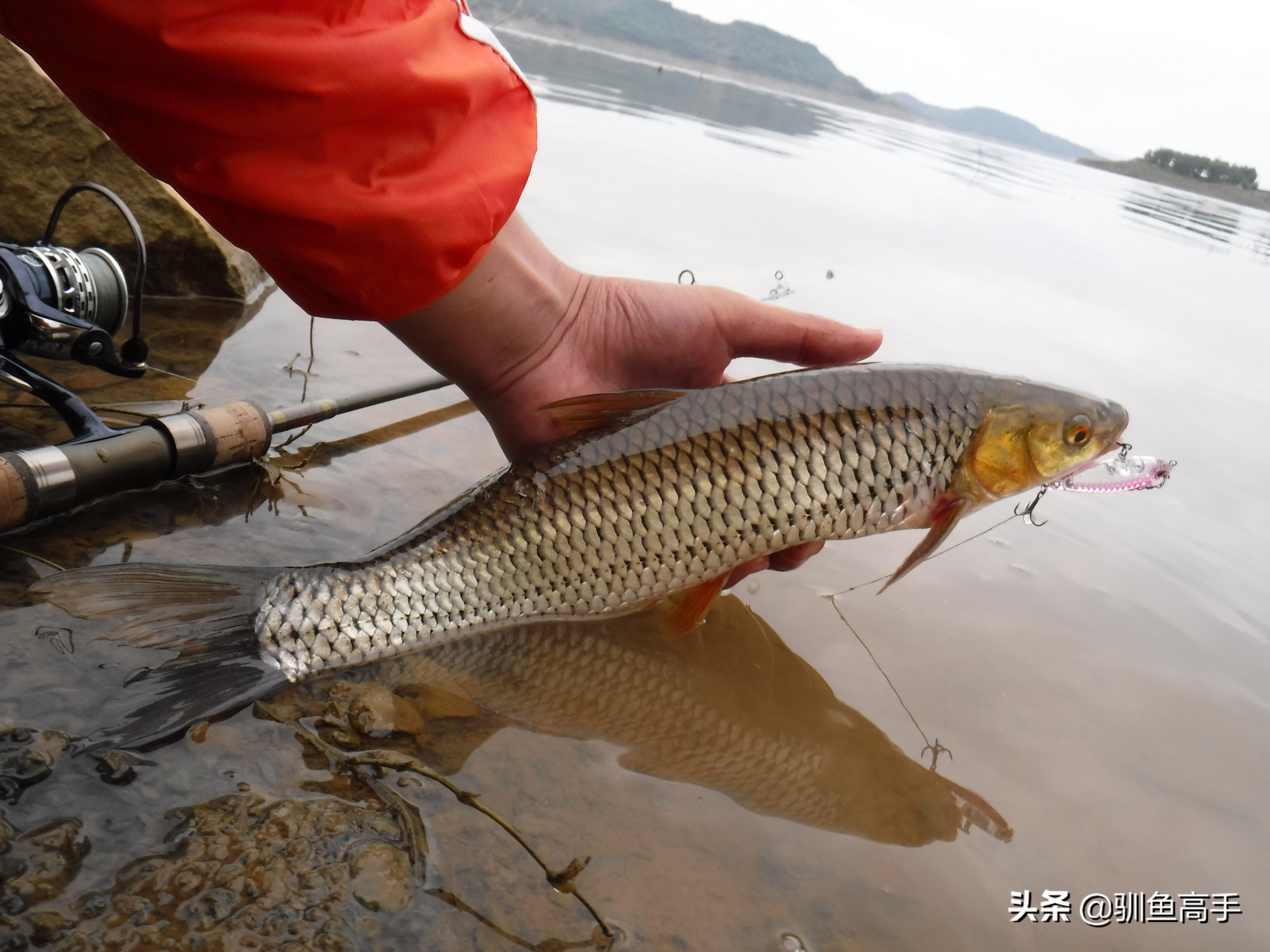3月份浅水路亚,百闻不如一见美景视频