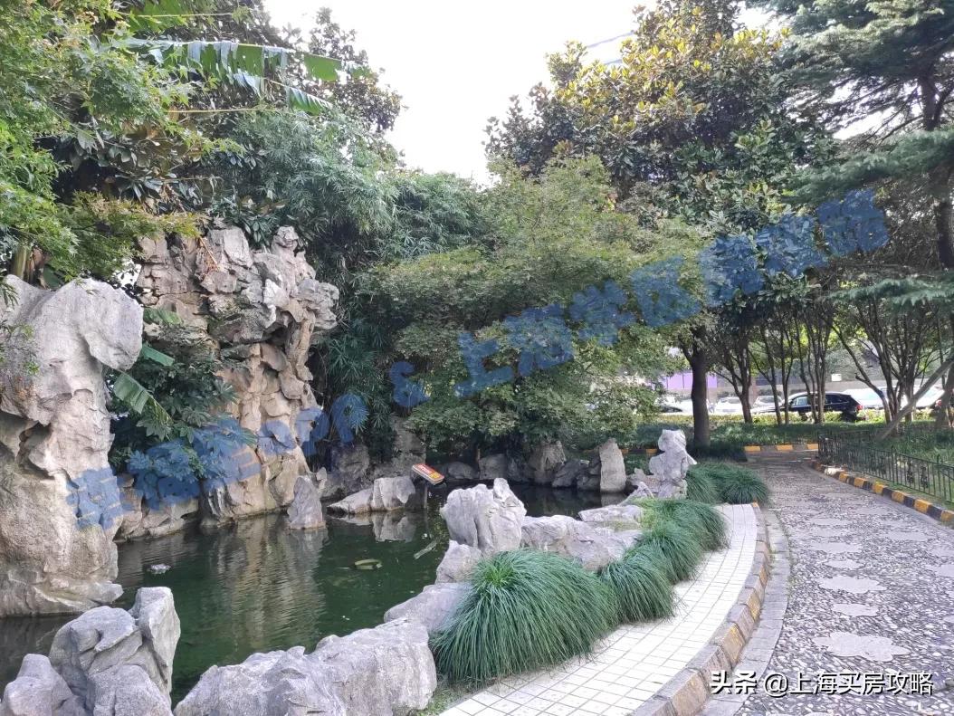 徐汇四大公办小学对比,上海汇师小学和分校