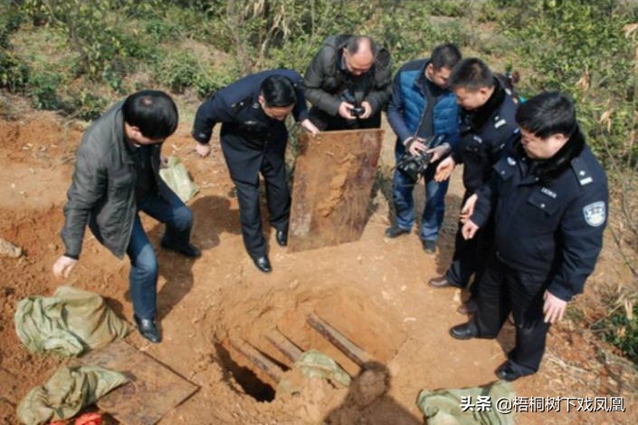 真实盗墓破案,盗墓细节太真实被抓获