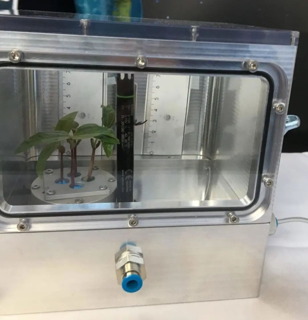 2021年神舟12号发射新闻及评价,神舟十二号发射圆满成功外媒报道