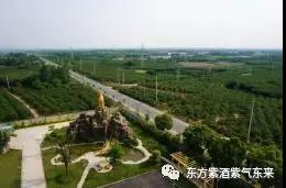 春城*月天五**，醉美桑果园