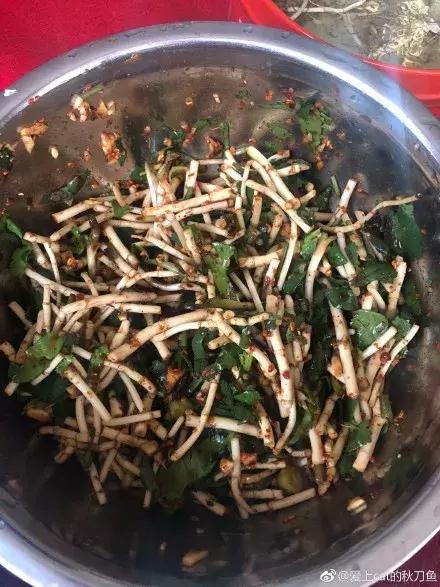贵阳不光是辣味的,还有一种味道叫折耳根!