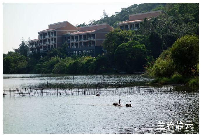 厦门国家会计学院校园,厦门国家会计学院漂亮吗