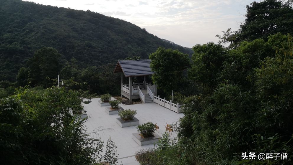 深圳大羊台风景,深圳阳台山看日落