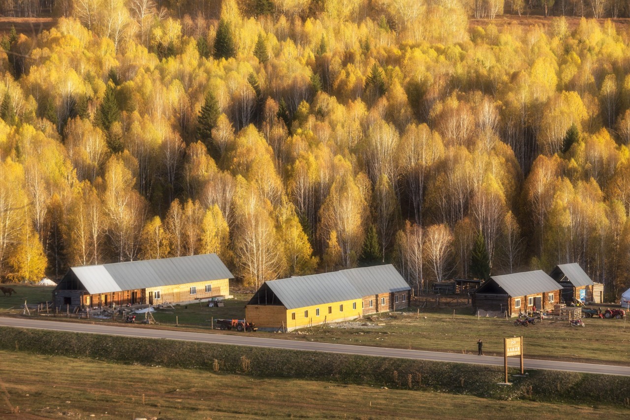 你永远不会体会到*疆新**公路的风情万种,除非你亲自自驾到那里!