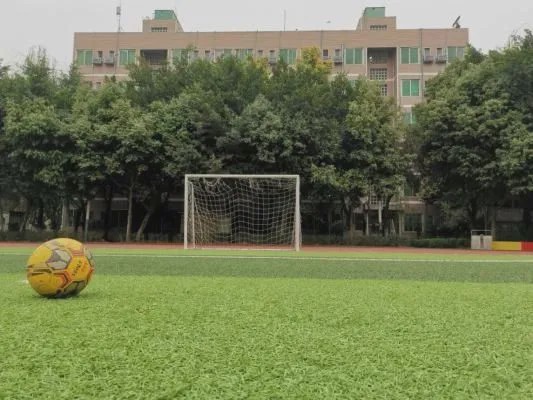 武侯k12,成都k12民办中学