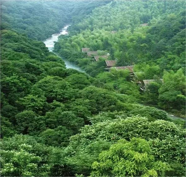 惠州龙门十大森林小镇,惠州南粤大氧旅游