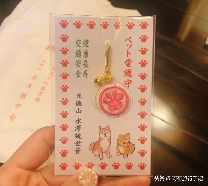 欢迎来到群马，一个没有秋名山车神，国际游客出游最好打车的地方