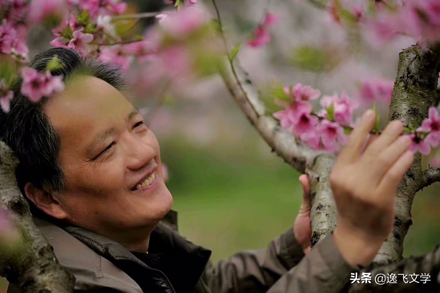 人生意境感悟,人生意境和感悟