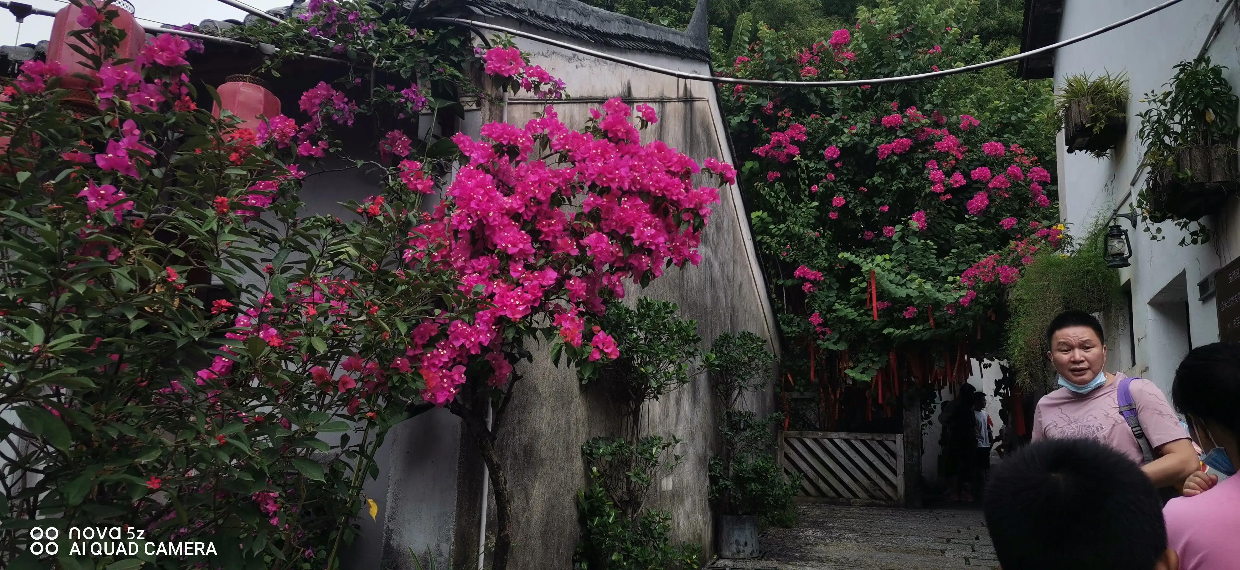 甘坑客家小镇小凉帽农场好玩吗,甘坑古镇客家小镇