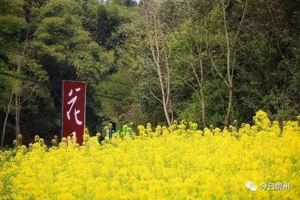 成都的天府公园,四川天府新区的公园城市