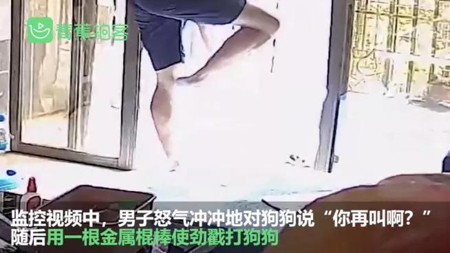 小孩子玩玩具死亡,孩子玩危险玩具死亡