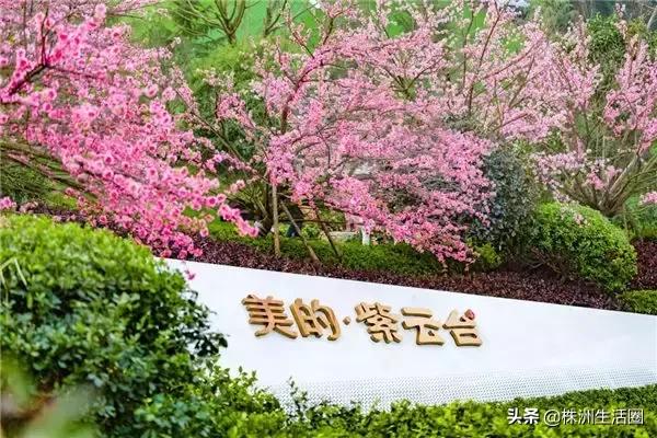 株洲人买房为什么不买24楼,株洲买房好还是湘潭买房好