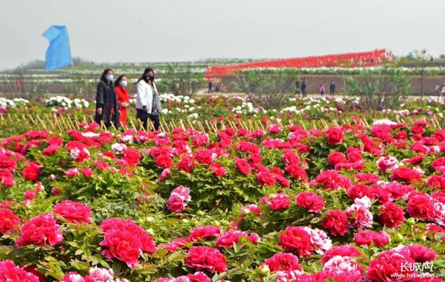 旅游邯郸峰峰,家乡推介峰峰矿区