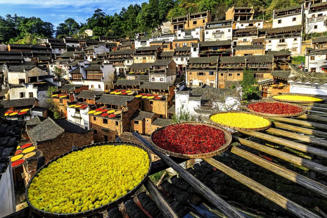 在最美的季节去了呼伦贝尔,一次浪漫的旅行呼伦贝尔