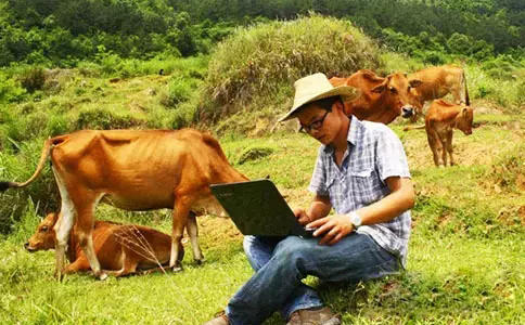 为什么农村大学生回老家创业,农村大学生出路在哪里