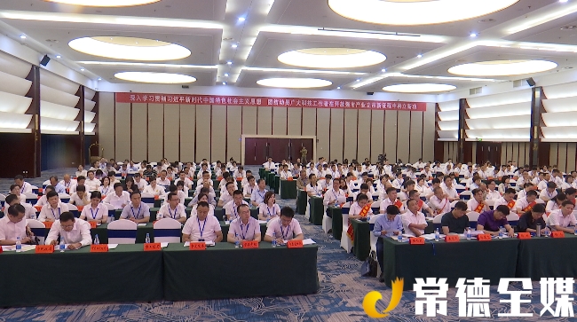 常德突出贡献人才奖名单,常德市获表彰人员