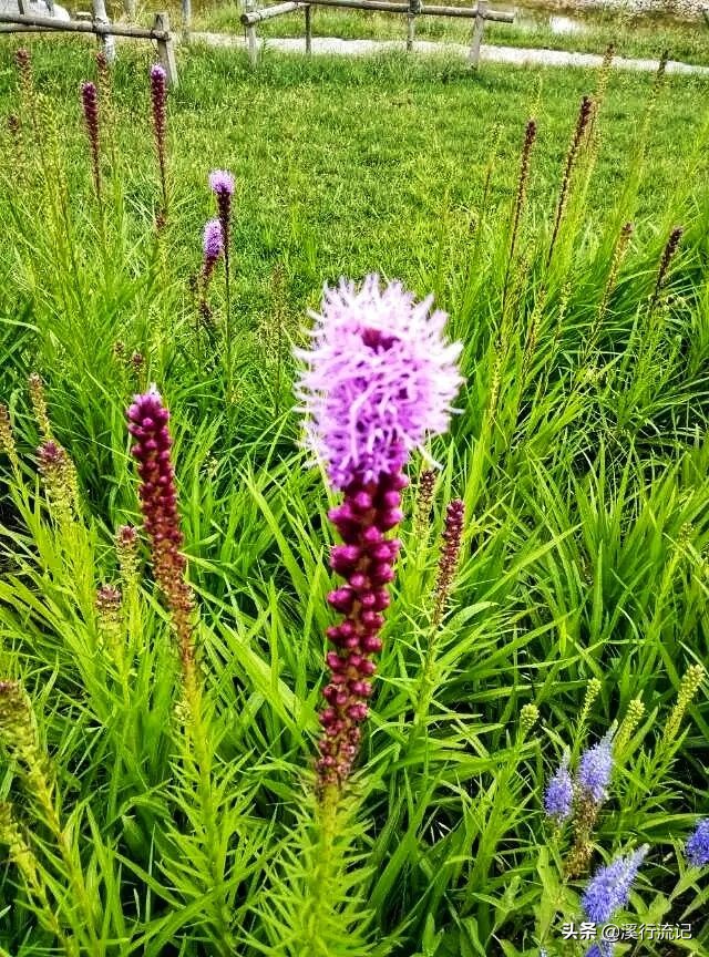 锦州世博园公交车时间表,锦州世博园9月中旬