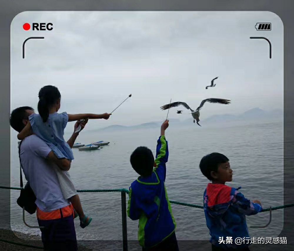 山东威海海驴岛攻略,山东海驴岛旅游攻略