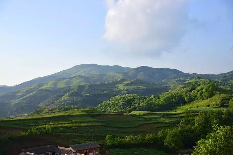 关于陇南的历史故事,讲述甘肃历史的纪录片