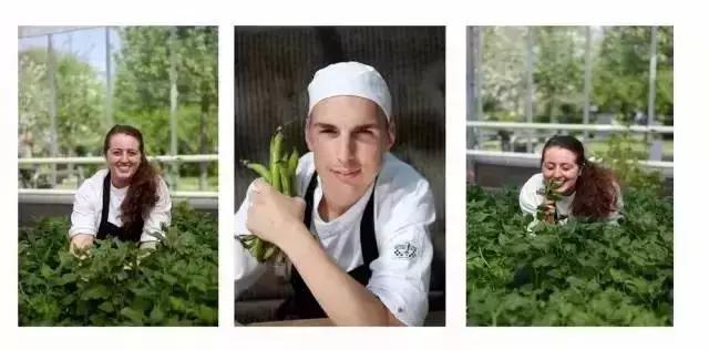 如何打造农场赚钱,家庭农场和休闲农庄怎么做才赚钱