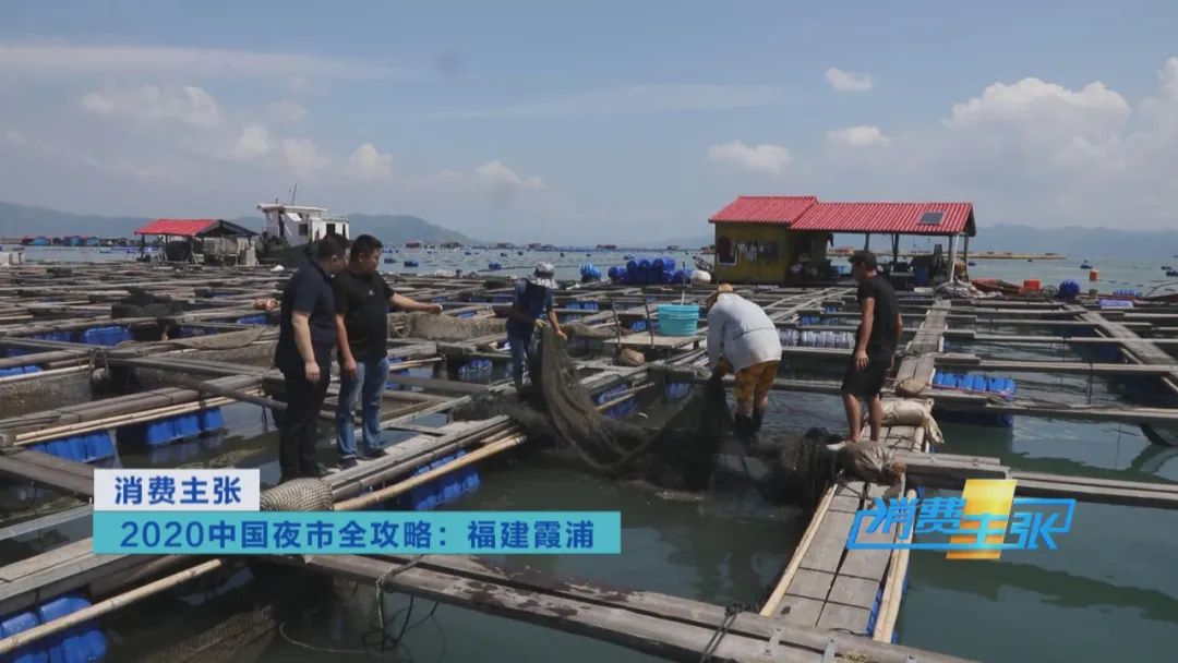 霞浦的海鲜真是便宜又好吃,霞浦真正便宜好吃的海鲜哪里吃