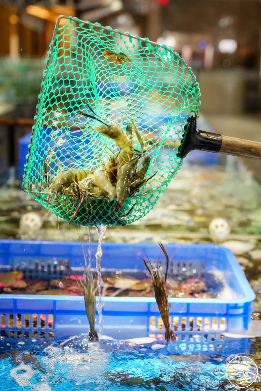 驶入厚街的「海鲜巨舰」,秋日鲜味来袭