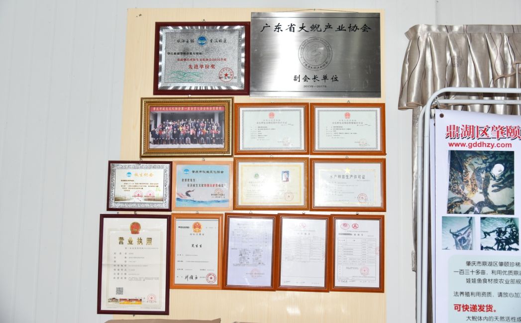 从保护动物到人工养殖，成为美食！鼎湖的绿水青山锻造千万商机