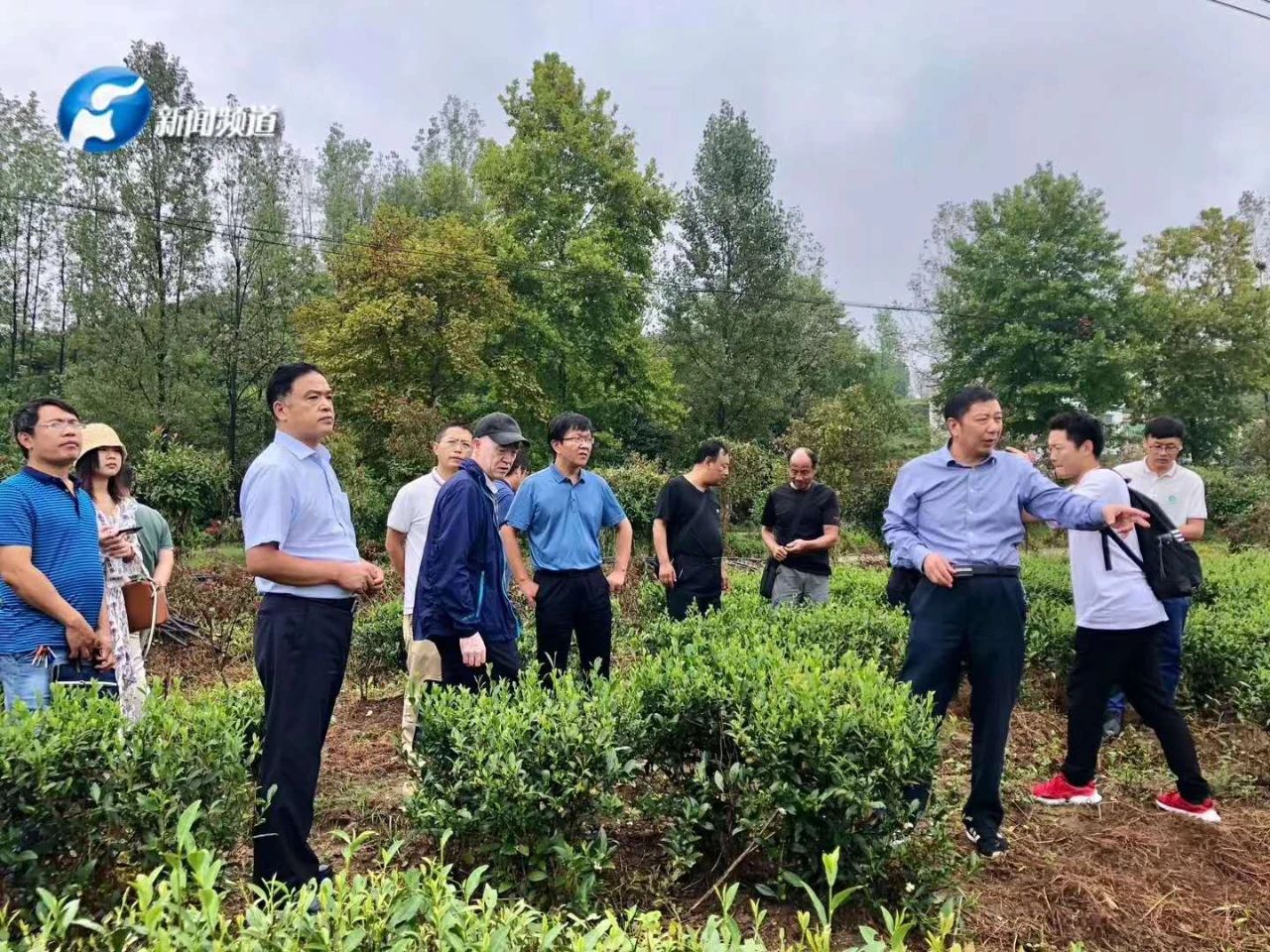 云飞科技珠海,云飞科技有限公司