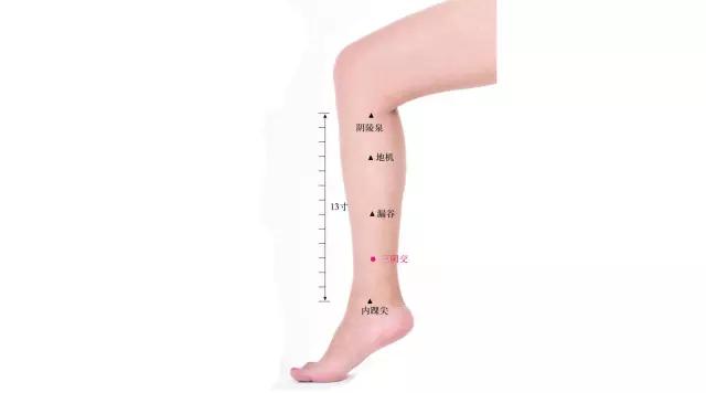 脾虚体寒怎么调理最有效,脾虚体寒湿气重怎么调理