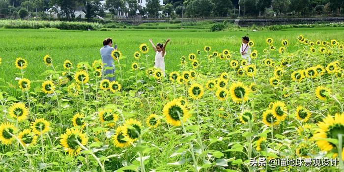 美丽乡村的盈利项目,美丽乡村项目的成功案例