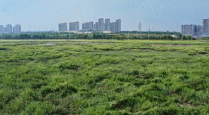 青岛国家海洋公园免费,海洋公园青岛最新