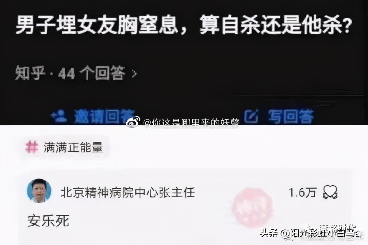 楼下的猫又开始叫了,楼下的猫一直在嗷嗷叫