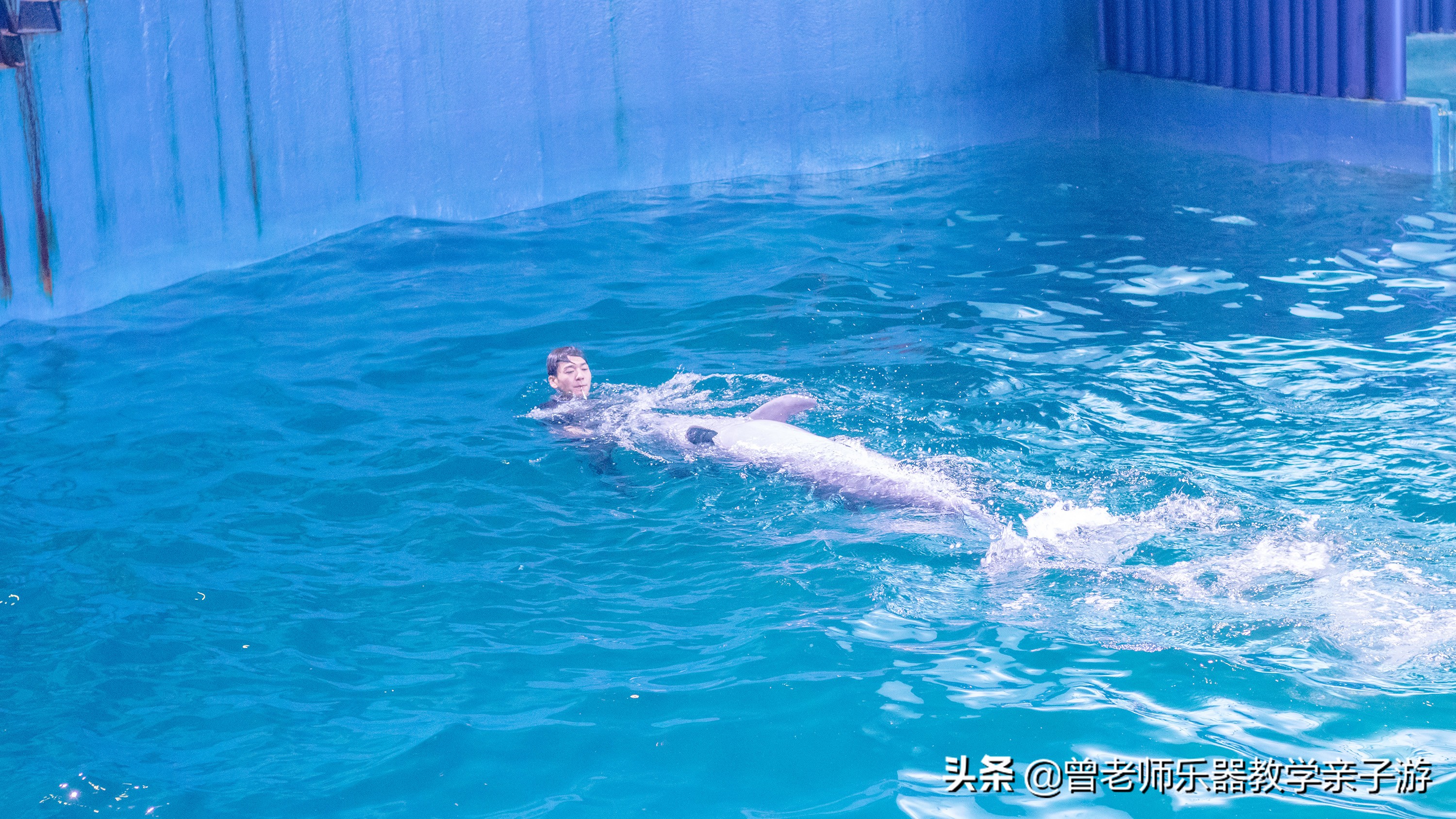 西安太奥海洋馆,西安极地海洋世界海豚表演