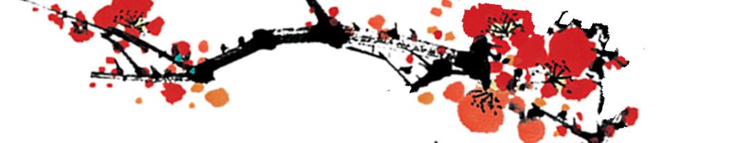 偃师杯戏曲红梅奖大赛,河南省第九届戏曲红梅杯获奖名单