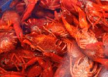 合肥龙虾馆配方大全,龙虾店的龙虾做法