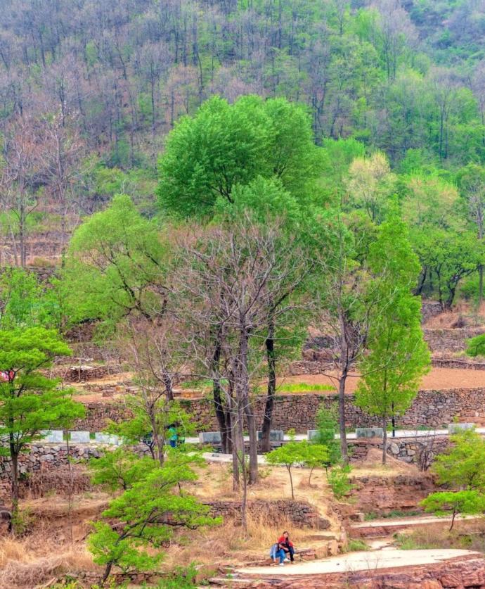 去万仙山郭亮村危险吗,万仙山郭亮村旅游攻略