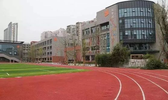 金牛区各小学排名,三驾马车学校怎么样