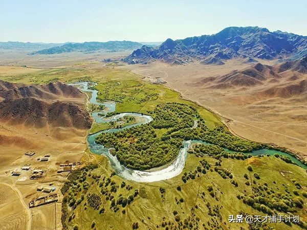 这个工作很带劲儿:94年女孩,三年救了60只猛兽的命