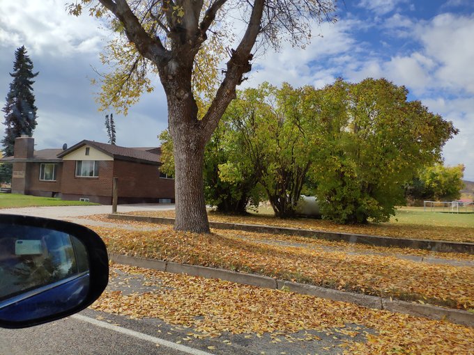 自驾游美国西雅图攻略,从西雅图到洛杉矶自驾游攻略