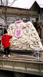 刚从后院挖出来的,大家帮我鉴定一下,我是不是要发财了?