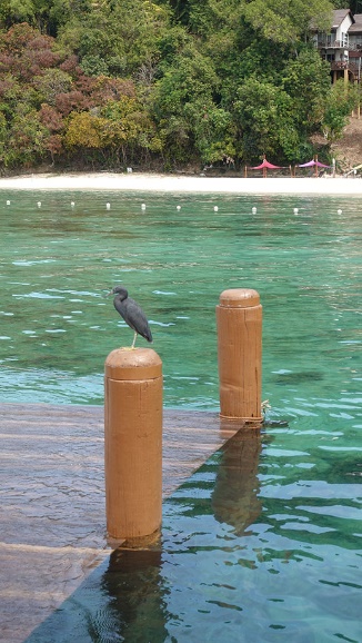 沙巴攻略详细介绍 (沙巴8天攻略)