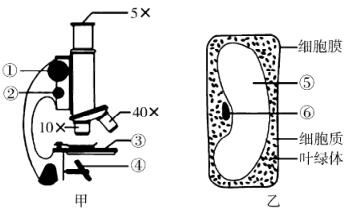 临沂七年级上册生物期末各区试卷,临沂市河东区七年级上册生物试卷