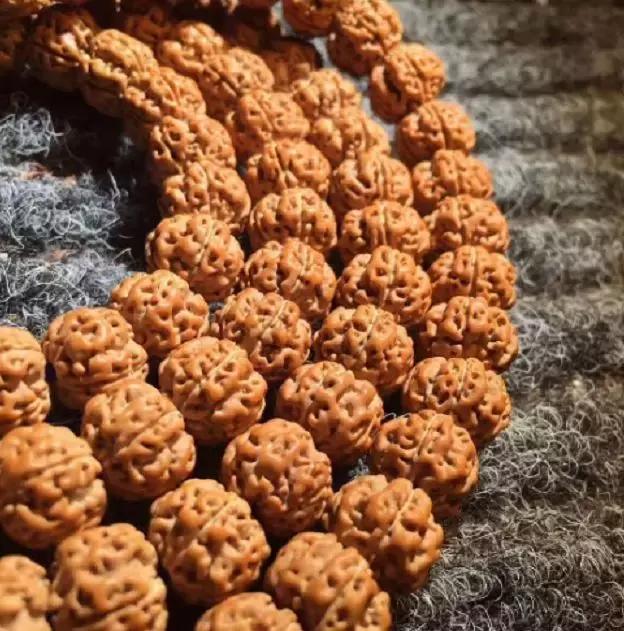 小金刚怎么上手,小火说